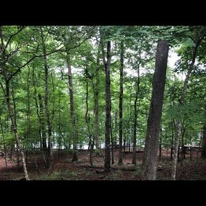 Meet your Posher, Nataly